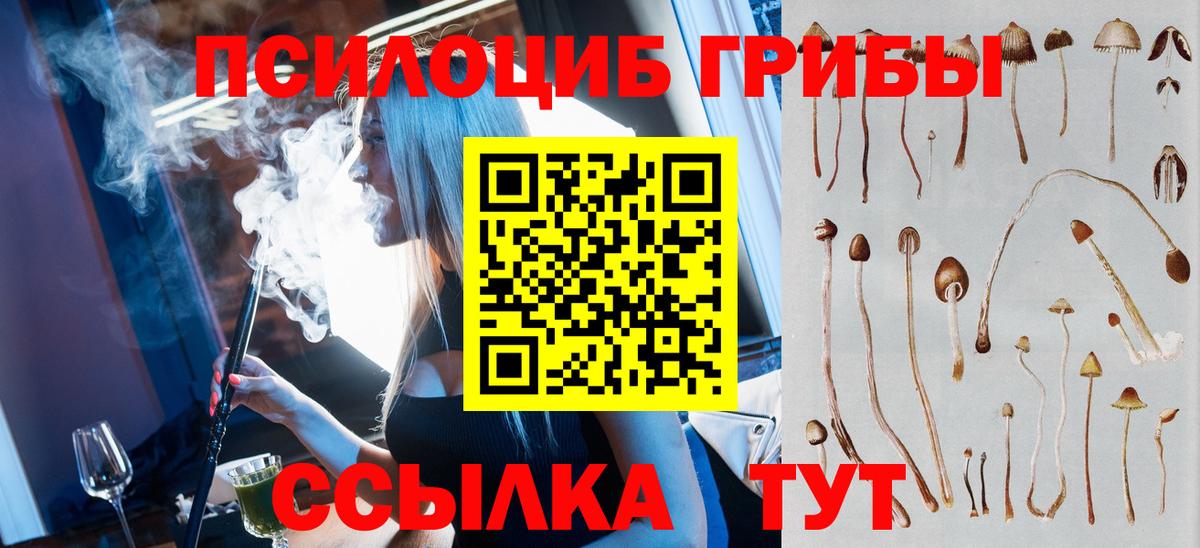Псилоцибиновые грибы Magic Shrooms  Вход с VPN  Кохма 